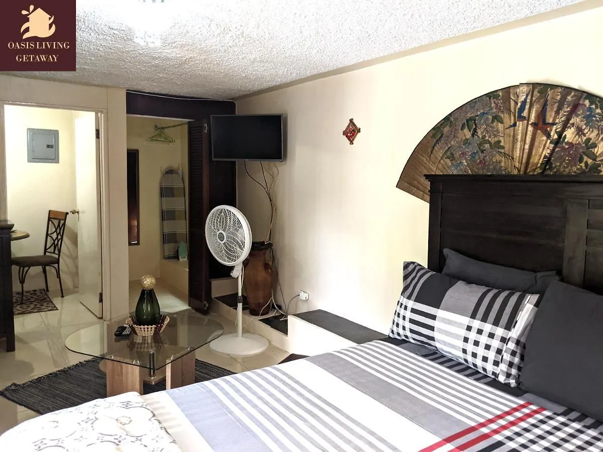 Apartment Oasis Living Getaway In Mandeville, Manchester